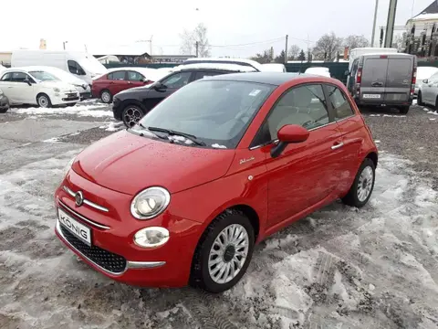 Used FIAT 500 Petrol 2022 Ad 