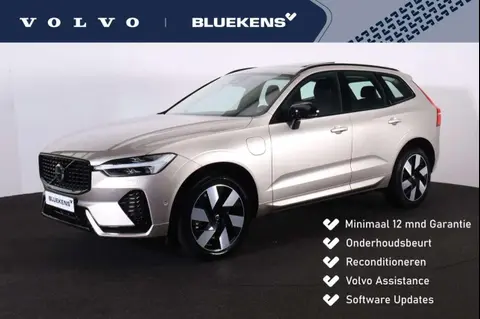 Annonce VOLVO XC60 Hybride 2024 d'occasion 