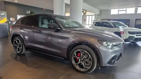 Used ALFA ROMEO STELVIO Diesel 2024 Ad 