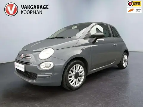 Used FIAT 500 Petrol 2019 Ad 