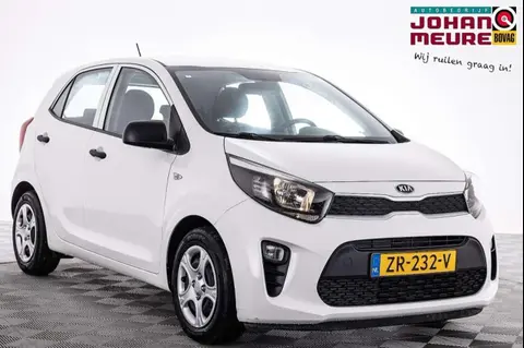 Used KIA PICANTO Petrol 2019 Ad 