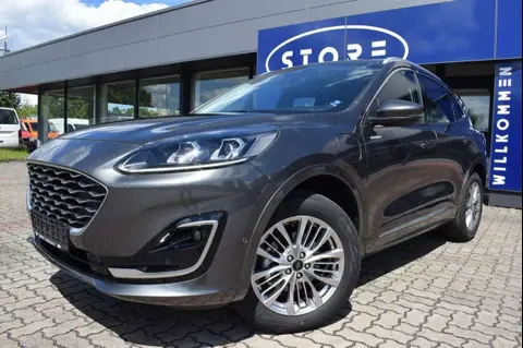 Used FORD KUGA Hybrid 2023 Ad 