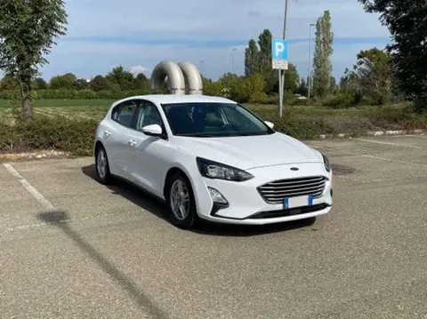 Annonce FORD FOCUS Diesel 2020 d'occasion 