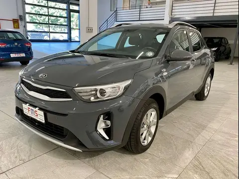 Annonce KIA STONIC GPL 2021 d'occasion 