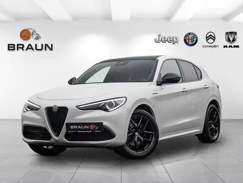 Used ALFA ROMEO STELVIO Diesel 2020 Ad 