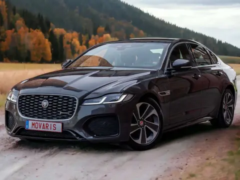 Annonce JAGUAR XF Hybride 2021 d'occasion 