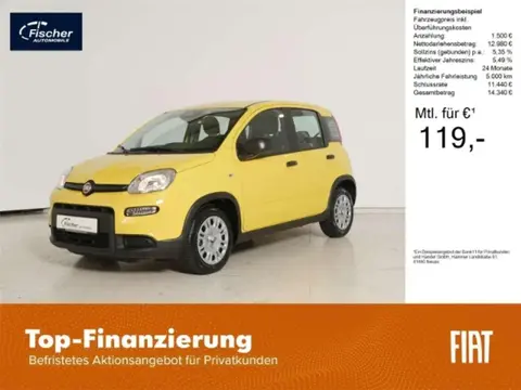 Used FIAT PANDA Petrol 2024 Ad 