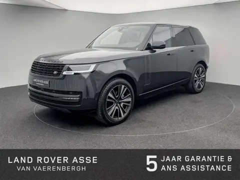 Annonce LAND ROVER RANGE ROVER Hybride 2024 d'occasion 