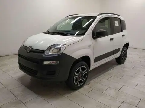 Used FIAT PANDA Petrol 2023 Ad 