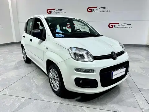 Annonce FIAT PANDA Essence 2019 d'occasion 