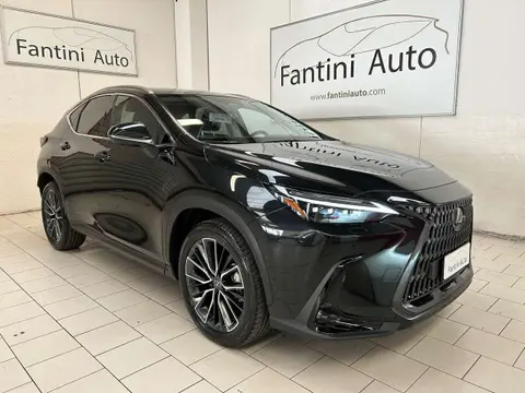 Used LEXUS NX Hybrid 2024 Ad 