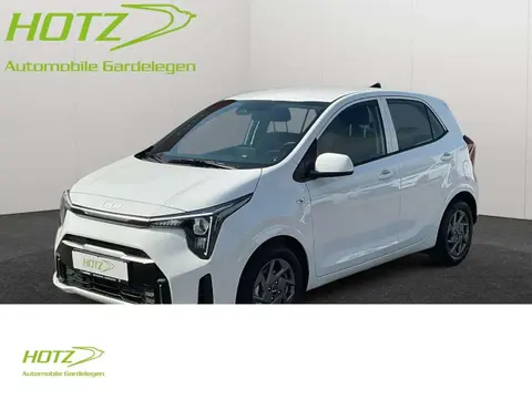 Used KIA PICANTO Petrol 2024 Ad 