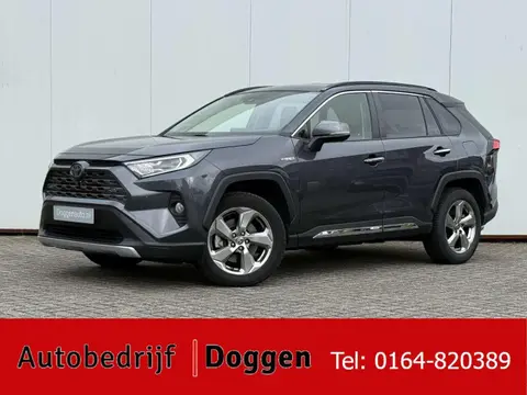 Used TOYOTA RAV4 Hybrid 2019 Ad 