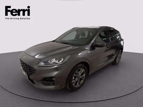 Used FORD KUGA Hybrid 2021 Ad 