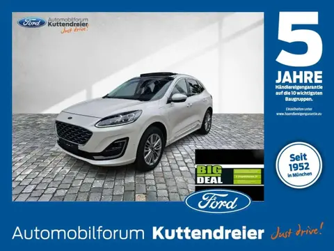 Used FORD KUGA Hybrid 2021 Ad 