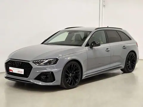 Used AUDI RS4 Petrol 2023 Ad 