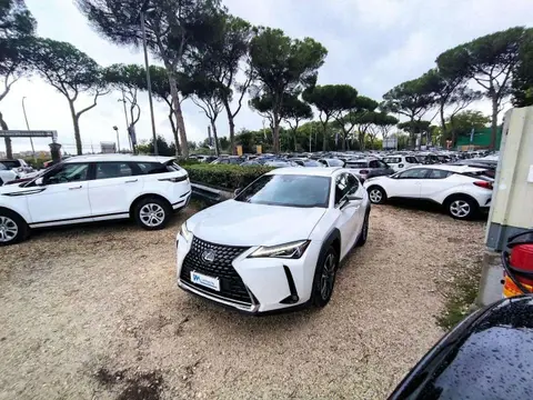 Used LEXUS UX Hybrid 2019 Ad 