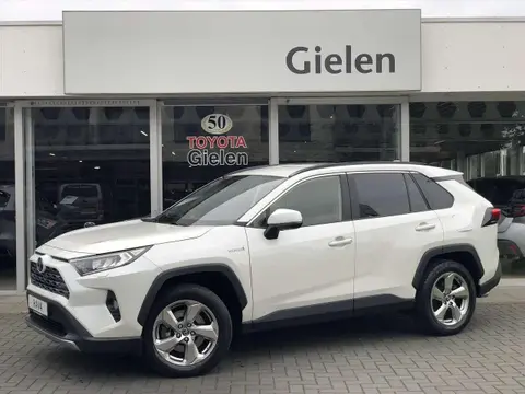 Used TOYOTA RAV4 Hybrid 2019 Ad 