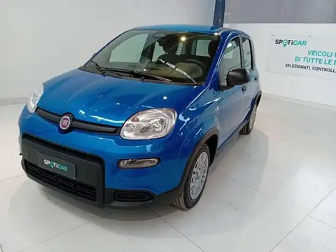 Used FIAT PANDA Hybrid 2024 Ad 