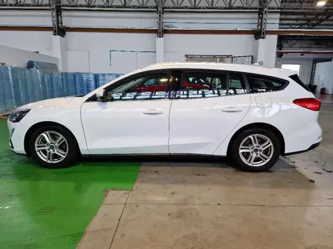 Used FORD FOCUS Diesel 2020 Ad 