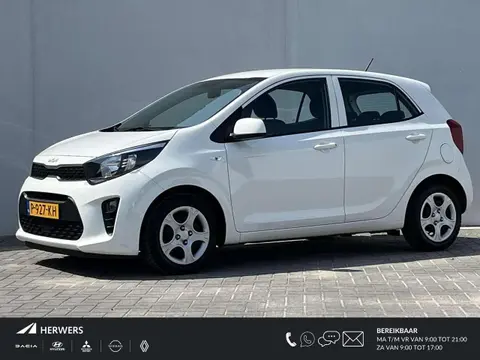 Used KIA PICANTO Petrol 2022 Ad 