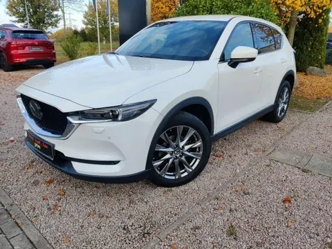 Annonce MAZDA CX-5 Essence 2020 d'occasion 