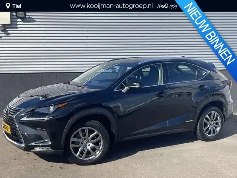 Used LEXUS NX Hybrid 2018 Ad 