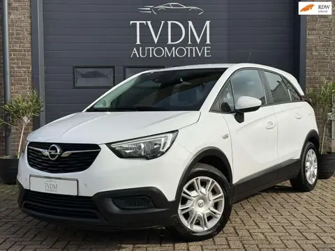 Used OPEL CROSSLAND Petrol 2020 Ad 