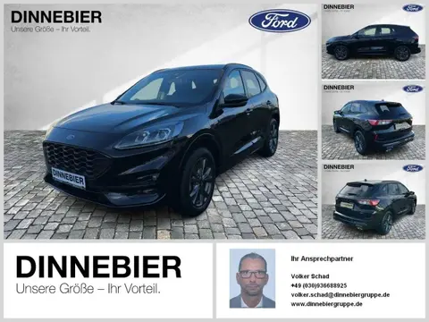 Used FORD KUGA Hybrid 2023 Ad 