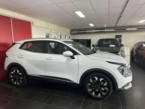 Annonce KIA SPORTAGE Hybride 2024 d'occasion 