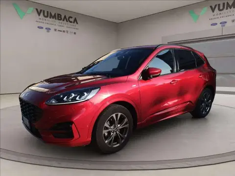 Annonce FORD KUGA Diesel 2021 d'occasion 