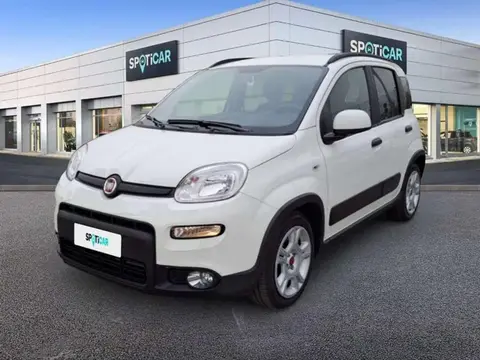 Used FIAT PANDA Petrol 2023 Ad 