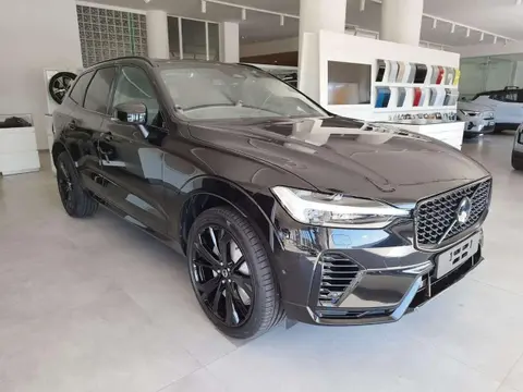 Annonce VOLVO XC60 Hybride 2024 d'occasion 