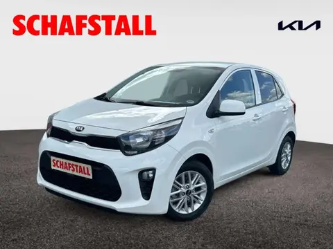 Annonce KIA PICANTO Essence 2021 d'occasion 