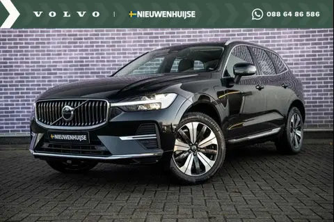 Used VOLVO XC60 Hybrid 2023 Ad 