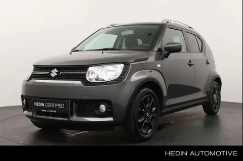 Used SUZUKI IGNIS Petrol 2017 Ad 