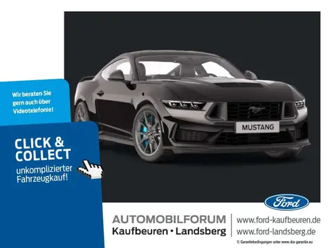 Used FORD MUSTANG Petrol 2024 Ad 