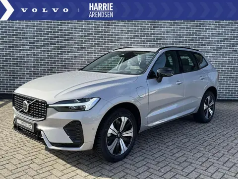 Annonce VOLVO XC60 Hybride 2024 d'occasion 