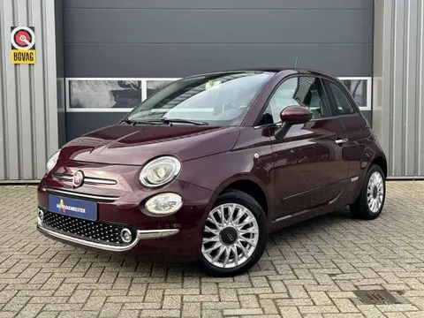 Used FIAT 500 Petrol 2017 Ad 