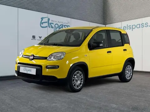 Used FIAT PANDA Petrol 2024 Ad 