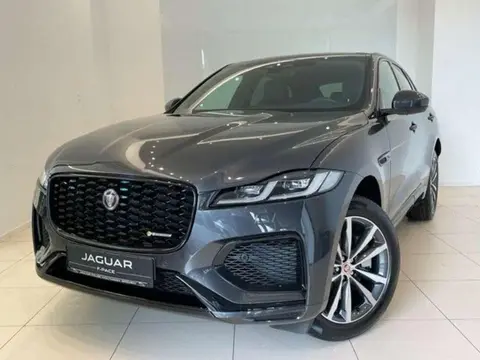 Used JAGUAR F-PACE Diesel 2023 Ad 