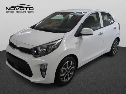 Used KIA PICANTO Petrol 2024 Ad 