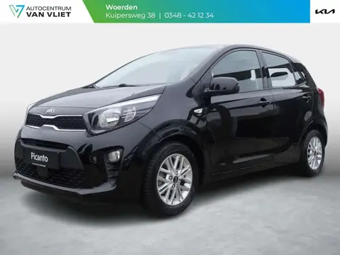 Annonce KIA PICANTO Essence 2021 d'occasion 