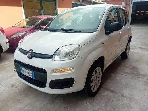 Used FIAT PANDA  2019 Ad 