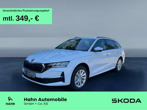 Annonce SKODA OCTAVIA Diesel 2024 d'occasion 