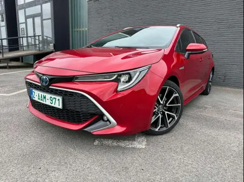 Used TOYOTA COROLLA Petrol 2020 Ad 