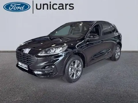 Used FORD KUGA Not specified 2024 Ad 