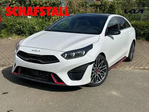 Annonce KIA PROCEED Essence 2024 d'occasion 