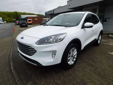 Annonce FORD KUGA Diesel 2024 d'occasion 