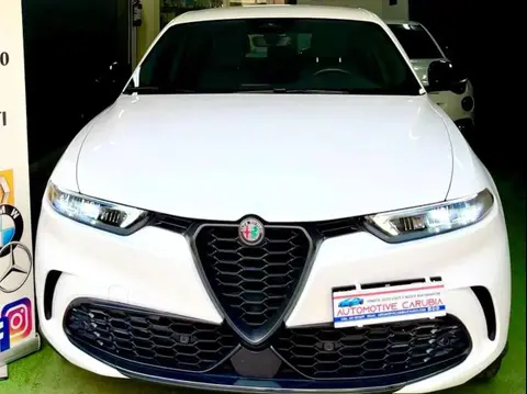 Used ALFA ROMEO TONALE Hybrid 2022 Ad 